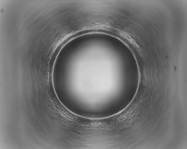 X0000059241316200510171421