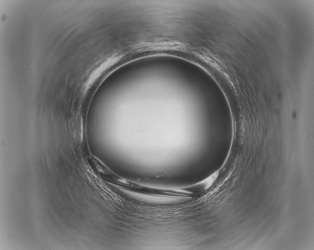 X0000059241317200510171421