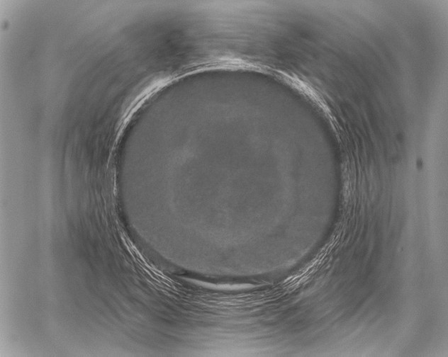 X0000059241318200510171421