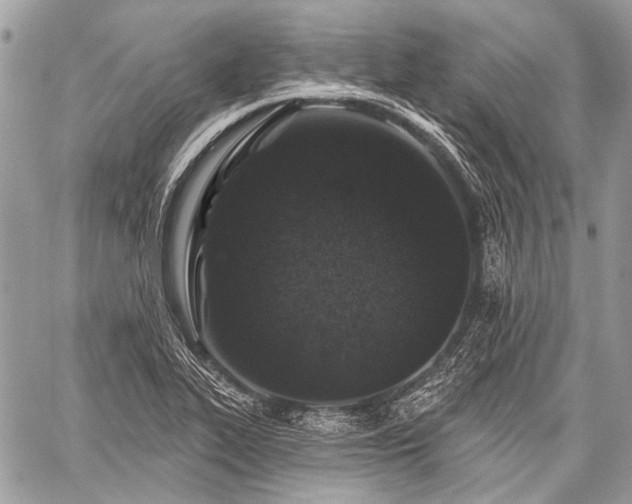 X0000059241319200510171421