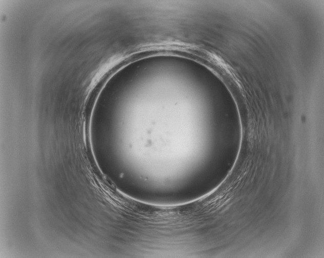 X0000059241320200510171421