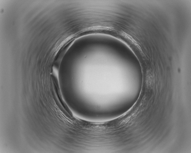 X0000059241321200510171421