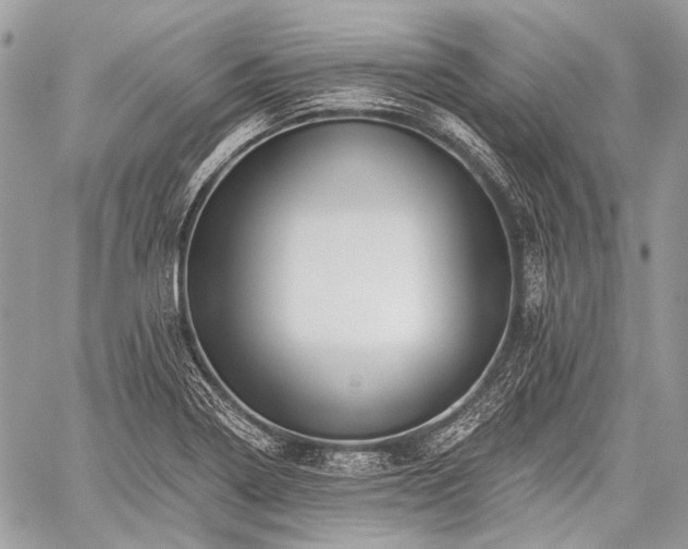 X0000059241322200510171421