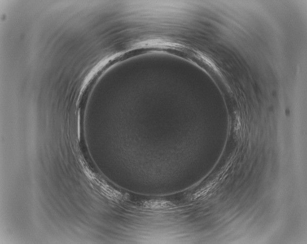 X0000059241323200510171421