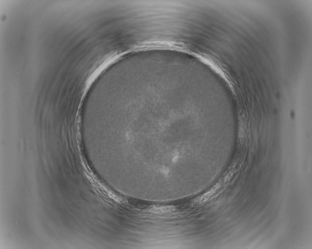 X0000059241325200510171421