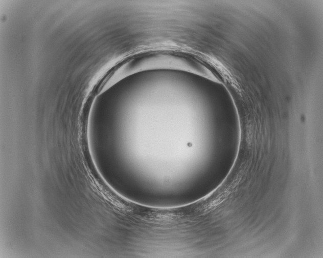 X0000059241326200510171421