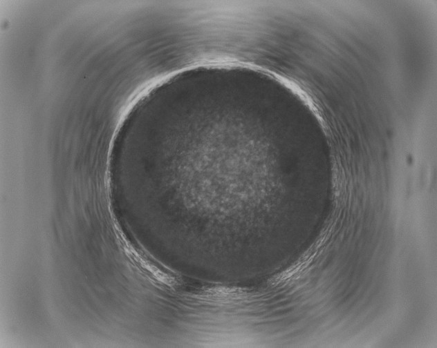 X0000059241327200510171421