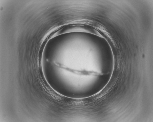 X0000059241328200510171421