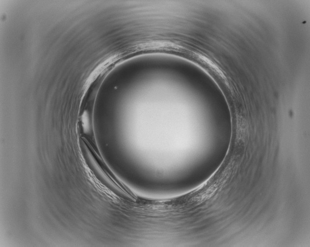 X0000059241330200510171421