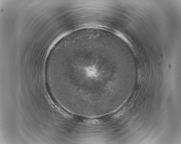 X0000059241331200510171421