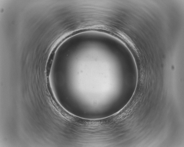 X0000059241332200510171421