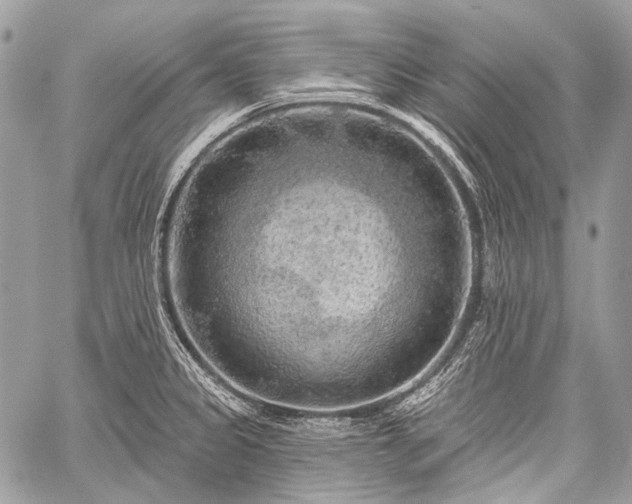 X0000059241333200510171421