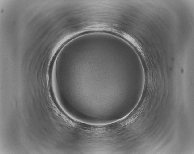 X0000059241334200510171421