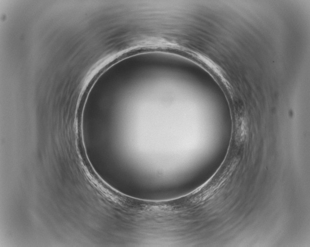 X0000059241335200510171421