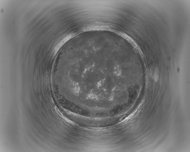 X0000059241337200510171421