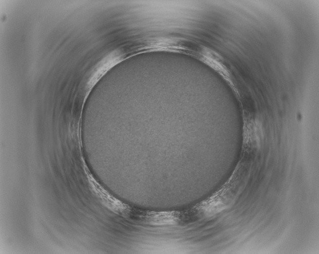 X0000059241338200510171421