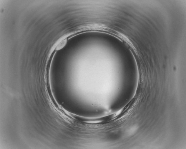 X0000059241339200510171421