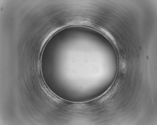 X0000059241340200510171421