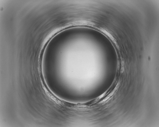 X0000059241342200510171421