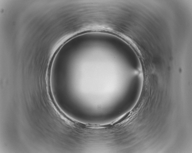 X0000059241343200510171421