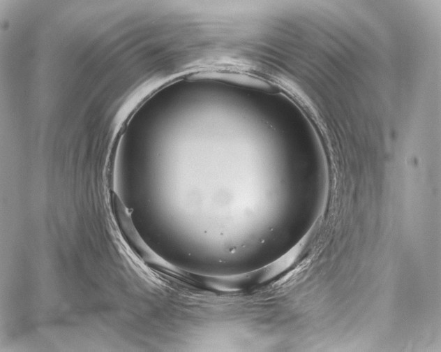 X0000059241344200510171421