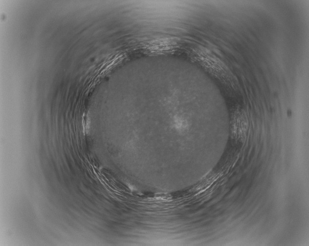 X0000059241346200510171420