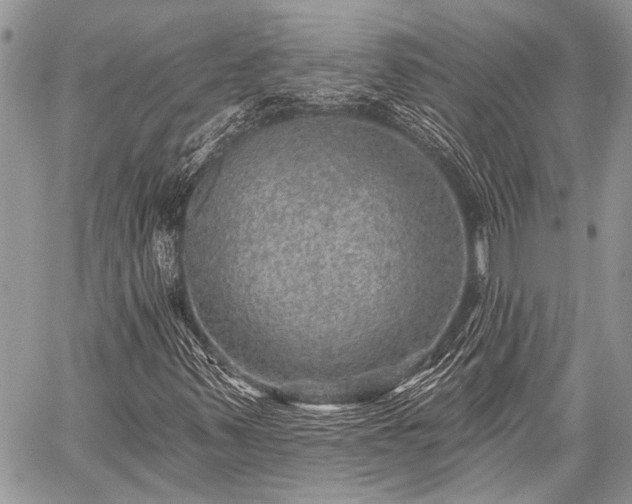 X0000059241347200510171420