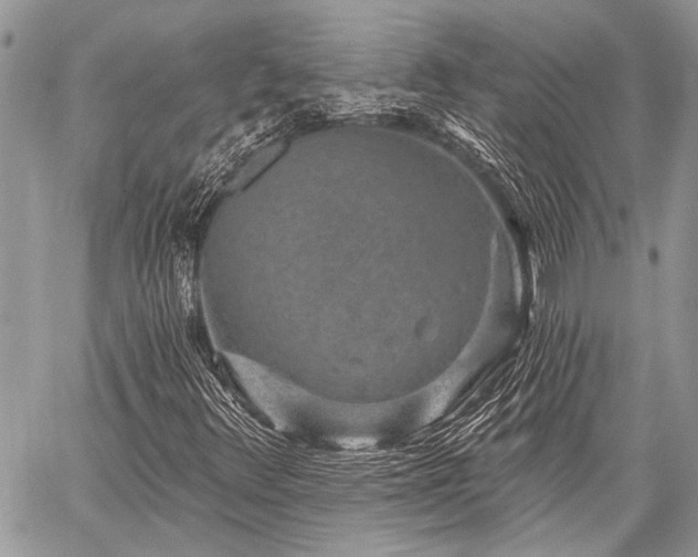 X0000059241348200510171420