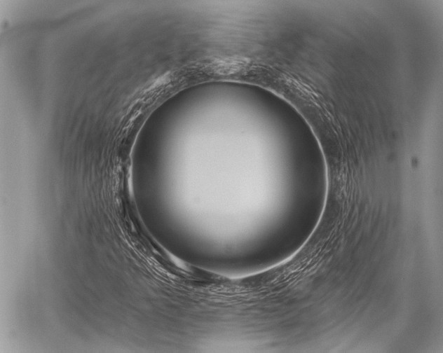 X0000059241349200510171420