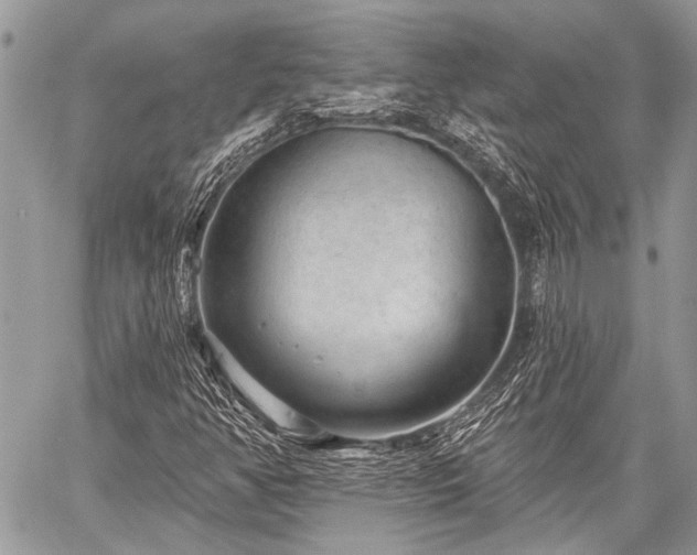 X0000059241350200510171420