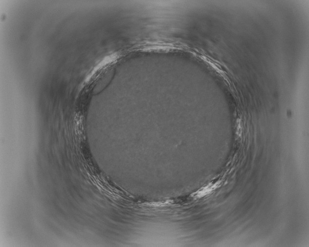 X0000059241351200510171420