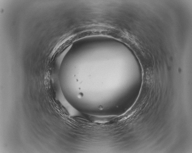 X0000059241352200510171420