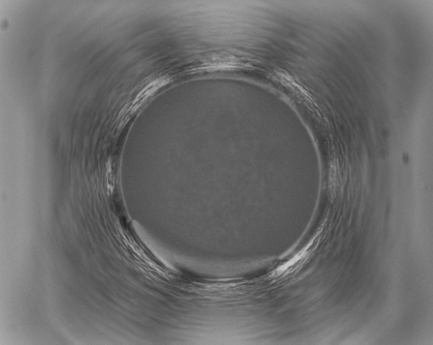 X0000059241353200510171420