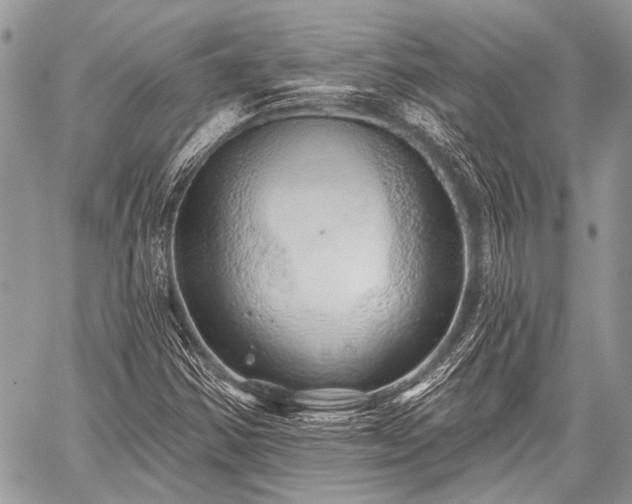 X0000059241354200510171420