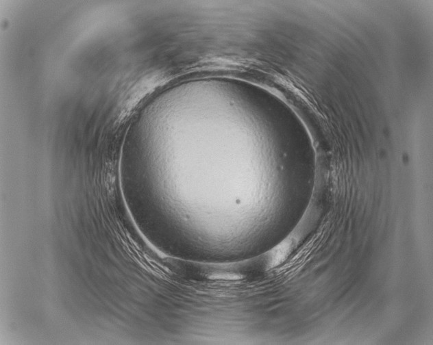 X0000059241355200510171420