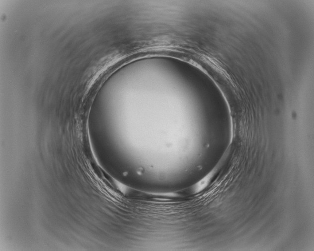 X0000059241356200510171420