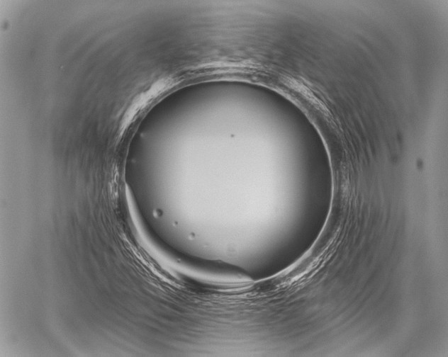 X0000059241357200510171420