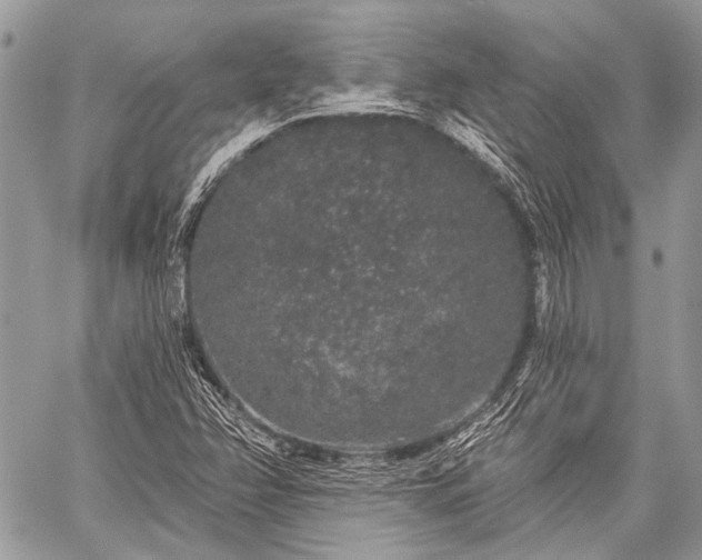 X0000059241358200510171420