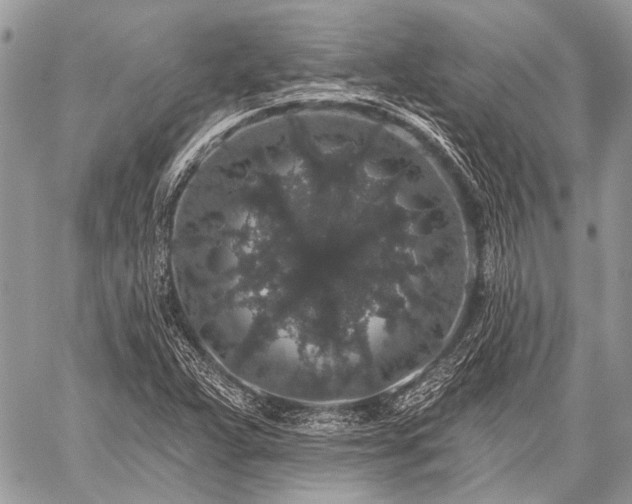 X0000059241359200510171420