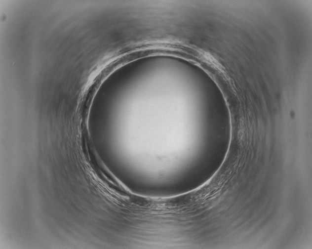 X0000059241360200510171420