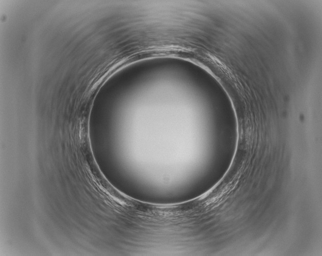 X0000059241361200510171420