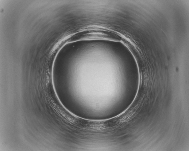 X0000059241363200510171420