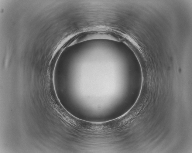 X0000059241364200510171420