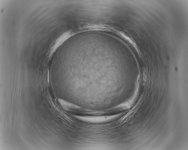 X0000059241365200510171420