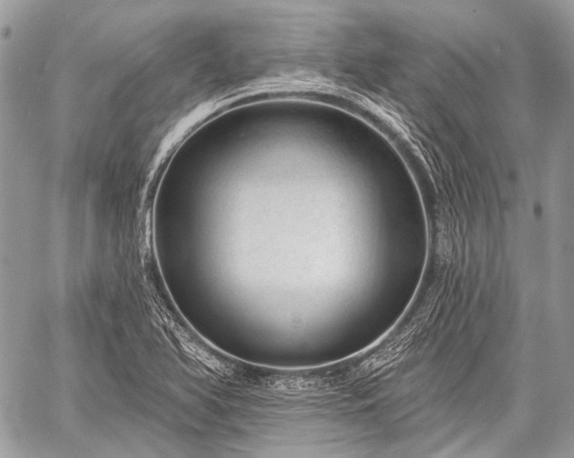 X0000059241366200510171420