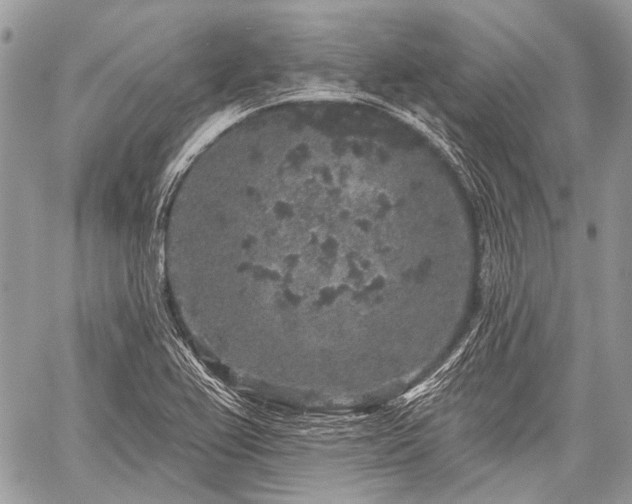 X0000059241367200510171420