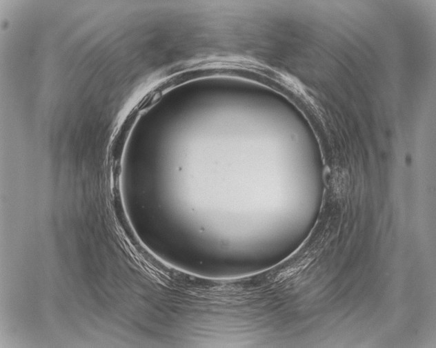 X0000059241368200510171420