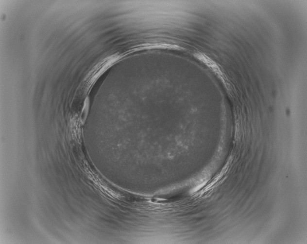 X0000059241369200510171420