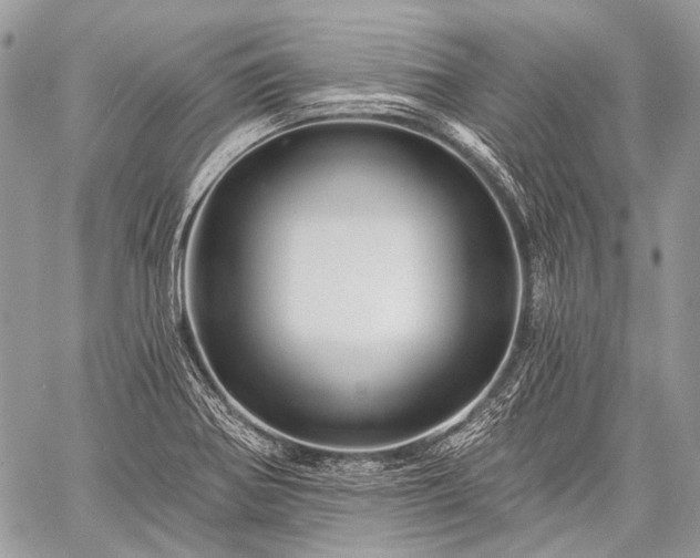 X0000059241370200510171420