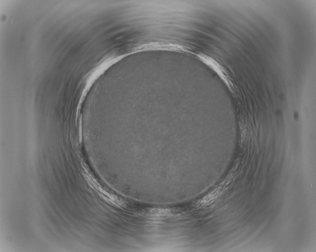 X0000059241371200510171420